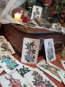 Bodegón 3 Oráculo de Plantas Barahona