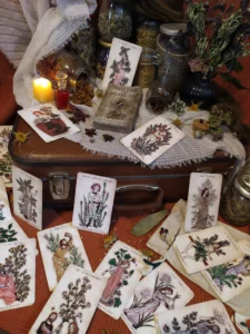 Bodegón 2 Oráculo de Plantas de Amaya Barahona