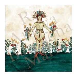 tacuinum sanitatis herberia