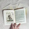 Las brujas y su caza - Imagen 2